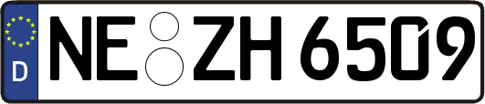 NE-ZH6509