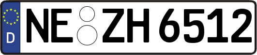 NE-ZH6512