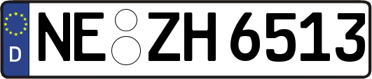 NE-ZH6513