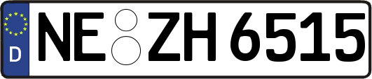 NE-ZH6515