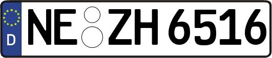 NE-ZH6516