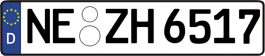 NE-ZH6517