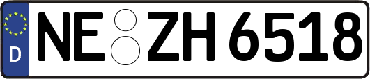 NE-ZH6518