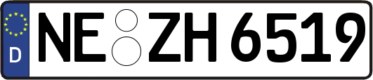 NE-ZH6519