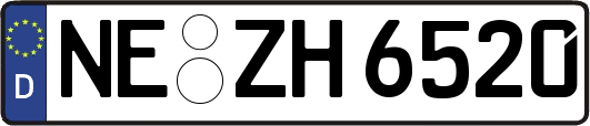 NE-ZH6520