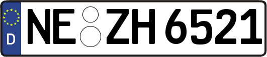 NE-ZH6521