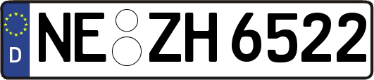 NE-ZH6522