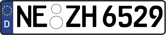 NE-ZH6529