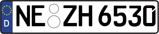 NE-ZH6530
