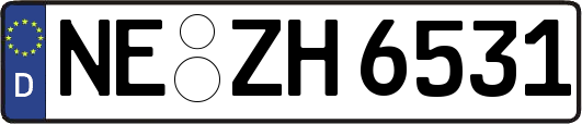 NE-ZH6531