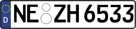 NE-ZH6533