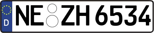 NE-ZH6534