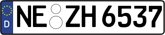NE-ZH6537