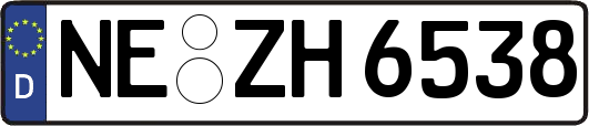 NE-ZH6538