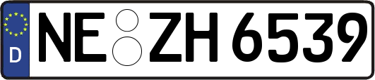 NE-ZH6539