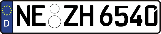 NE-ZH6540