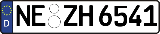 NE-ZH6541