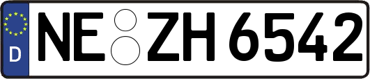 NE-ZH6542