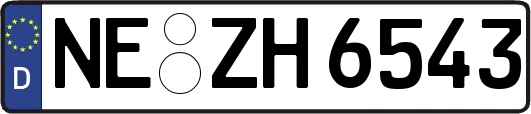 NE-ZH6543