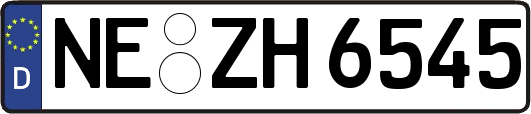 NE-ZH6545
