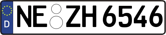 NE-ZH6546