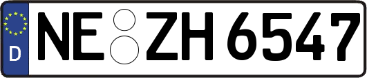 NE-ZH6547