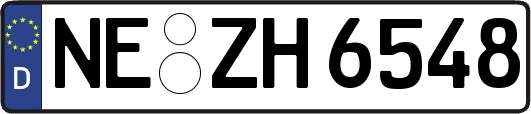 NE-ZH6548
