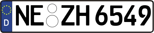 NE-ZH6549