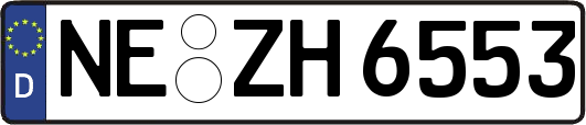 NE-ZH6553