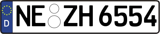 NE-ZH6554