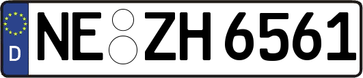NE-ZH6561