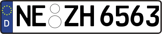 NE-ZH6563