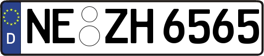 NE-ZH6565