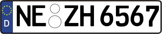 NE-ZH6567
