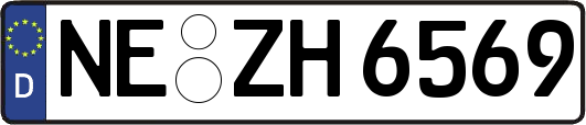 NE-ZH6569