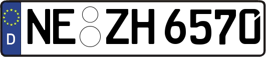 NE-ZH6570