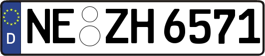 NE-ZH6571