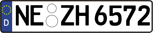 NE-ZH6572