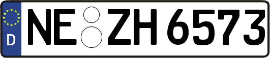 NE-ZH6573