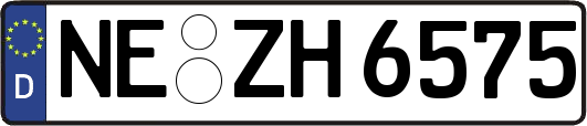 NE-ZH6575