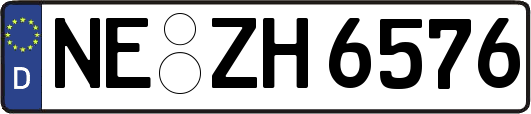NE-ZH6576