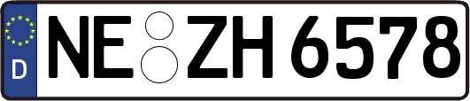NE-ZH6578