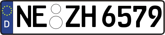 NE-ZH6579
