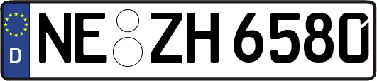 NE-ZH6580