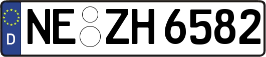 NE-ZH6582