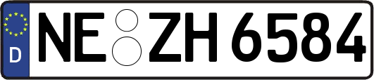 NE-ZH6584