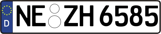 NE-ZH6585