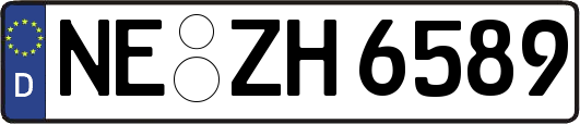 NE-ZH6589