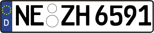 NE-ZH6591