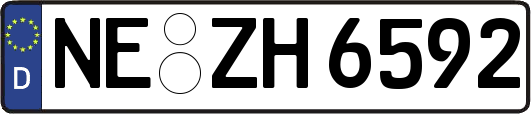NE-ZH6592